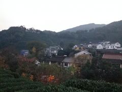 -龙井村