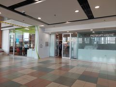 -香港大学