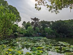 -无锡蠡湖国家湿地公园-蠡园