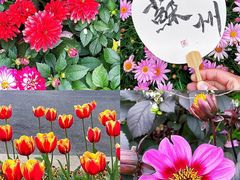 -苏州上方山国家森林公园