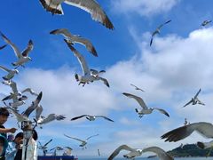 -海驴岛(荣成市)