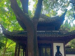 -汇龙潭