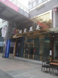 -北京丽星翼美医疗美容