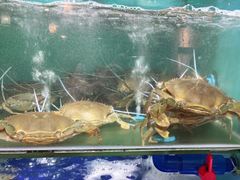 -南海渔家•海鲜•正宗海南菜(海棠湾店)