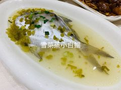 清蒸小白鲳拼小黄鱼-顺风海鲜港(长寿路店)