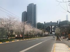 -上海港国际客运中心
