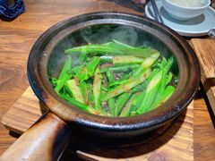 -华记啫啫煲