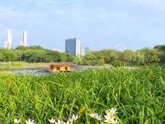 -顺峰山公园