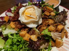 -Tubestation站点比萨(高新万达ONE店)