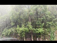 -黑竹沟新场牛肉火锅