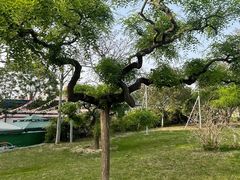 -北京世界公园