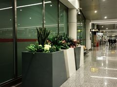 -重庆江北国际机场-T2航站楼