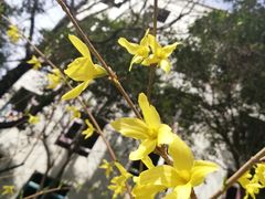 -莲湖公园