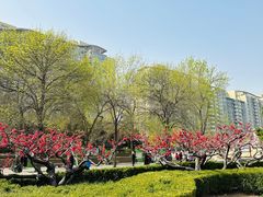 -元大都城垣遗址公园