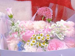 -叮叮猫儿(西村店)