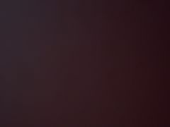 -三色鸽(直营北京路店)