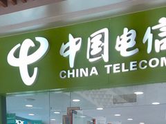 -中国电信(光谷世界城营业厅)