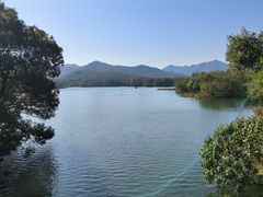 -中国茶叶博物馆(双峰馆区)