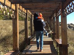 -白草畔自然风景区