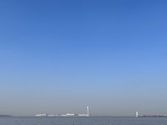 -上海滨江森林公园
