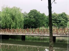 -贡湖湾湿地公园