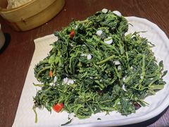 -蓝田印象
