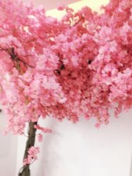 -Sunny喜铺婚礼策划(东部店)