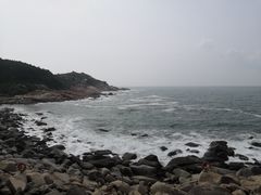 -广东惠东海龟国家级自然保护区