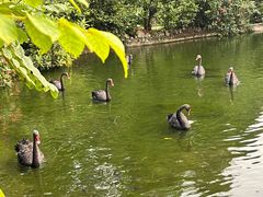 -海南热带野生动植物园