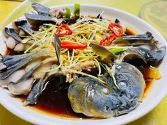 -煲来饱去冷水鱼