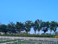 -嘉北郊野公园
