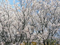 -西海岸生态观光园