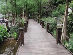 -重庆彩云湖湿地公园