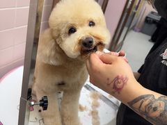 -FAELING PETS美天灵宠物(富力广场店)