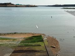 -日照灯塔风景区