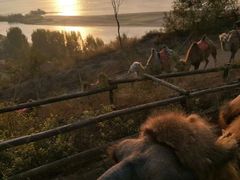 -古柏渡飞黄旅游区