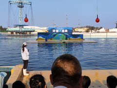 -秦皇岛乐岛海洋王国