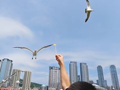 -星海广场