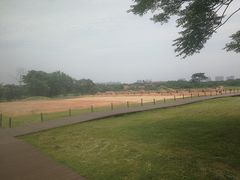 -盘龙城国家考古遗址公园