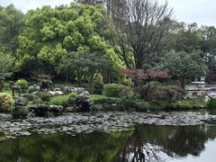 -杭州植物园