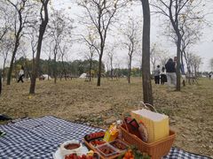 -露天矿生态公园