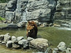 -北京野生动物园