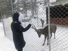 -长白山万达喜来登度假酒店