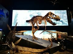 -贝林大翅鲸简餐厅(国家海洋博物馆店)