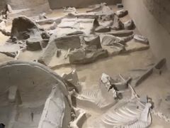 -洛阳周王城天子驾六博物馆