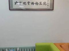 -北京观赏动物医院·24小时大型综合·猫专科·异宠专科
