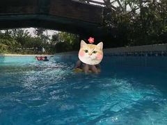 -重庆海昌加勒比海水世界