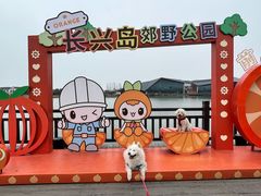 -上海长兴岛郊野公园