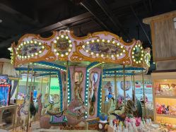 -卡通尼·Safari非洲探索乐园·生日会(金桥国际商业广场店)