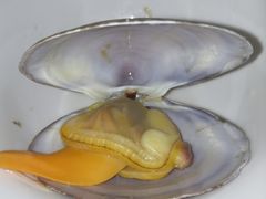 -优食坊·蒸汽海鲜(康盛路店)